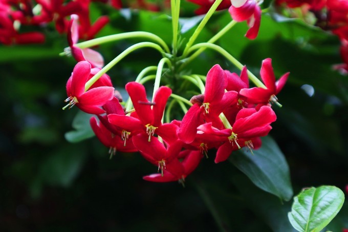 如约而至的涠洲岛,涠洲岛一生所爱