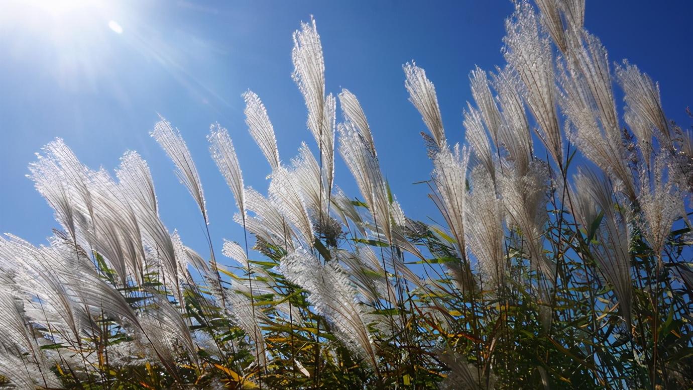 辽宁省盘锦市有哪几个区,辽宁省盘锦市所辖区有哪些
