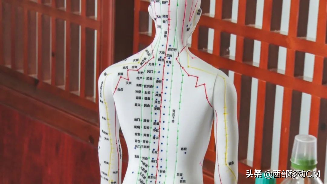 澄江非遗文化,澄江市文化