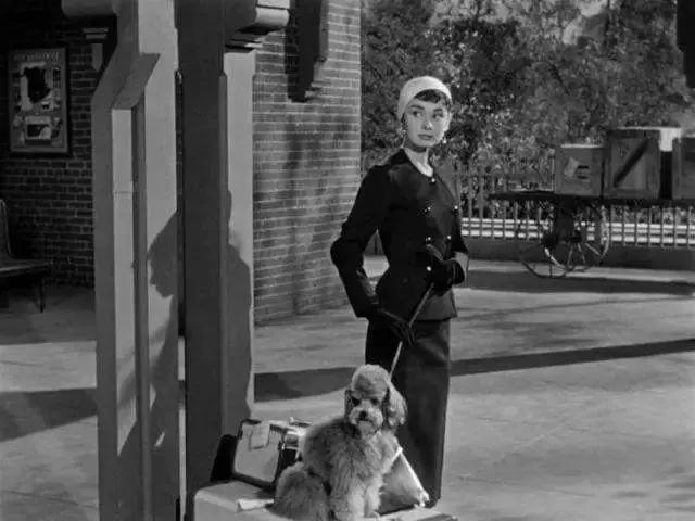 贵妇失踪案真相揭秘,贵妇死亡真相揭秘