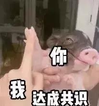 开春口红,开春口红色号