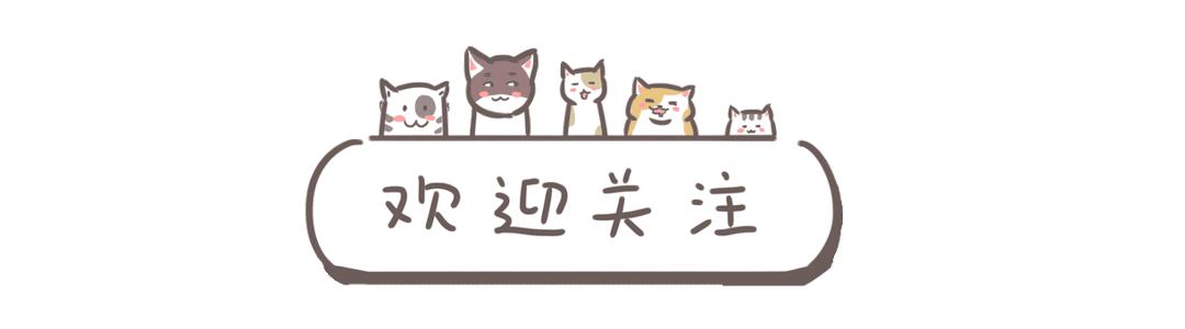 4款公认好用的防晒霜,学生*党**首选黛珂,娇韵诗无限回购