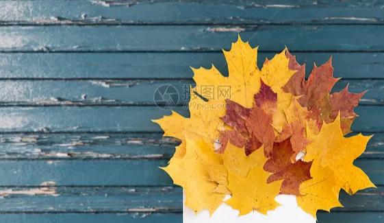 时光流逝的散文,时光荏苒岁月如歌散文