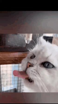 视频滤镜到底有多强,视频滤镜太多是什么原因