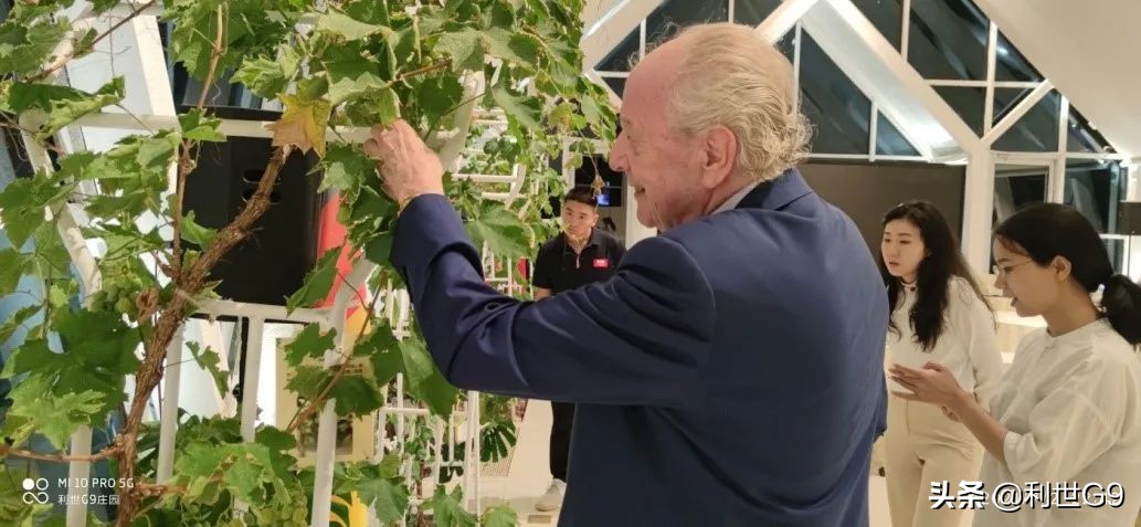 环球嘉年华公司副董事长,环球嘉年华总裁是谁