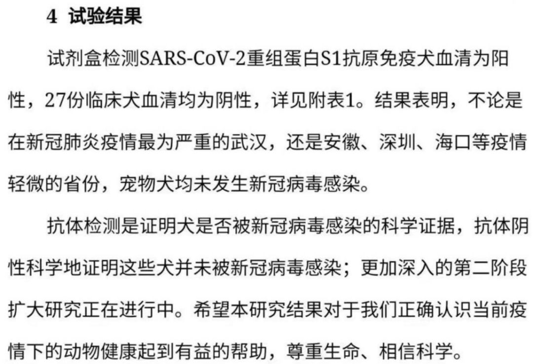 开心香港,香港检测宠物狗新冠测试呈弱阳性