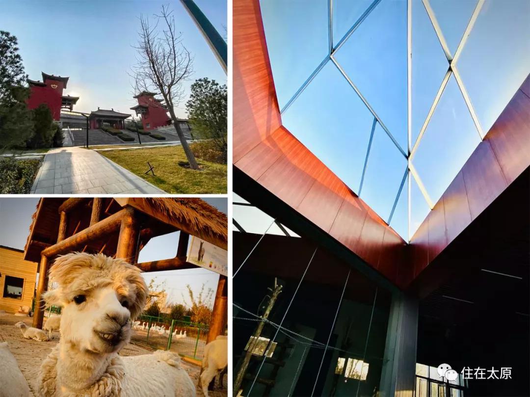 太原杏花岭未来发展趋势,太原杏花岭区新城规划