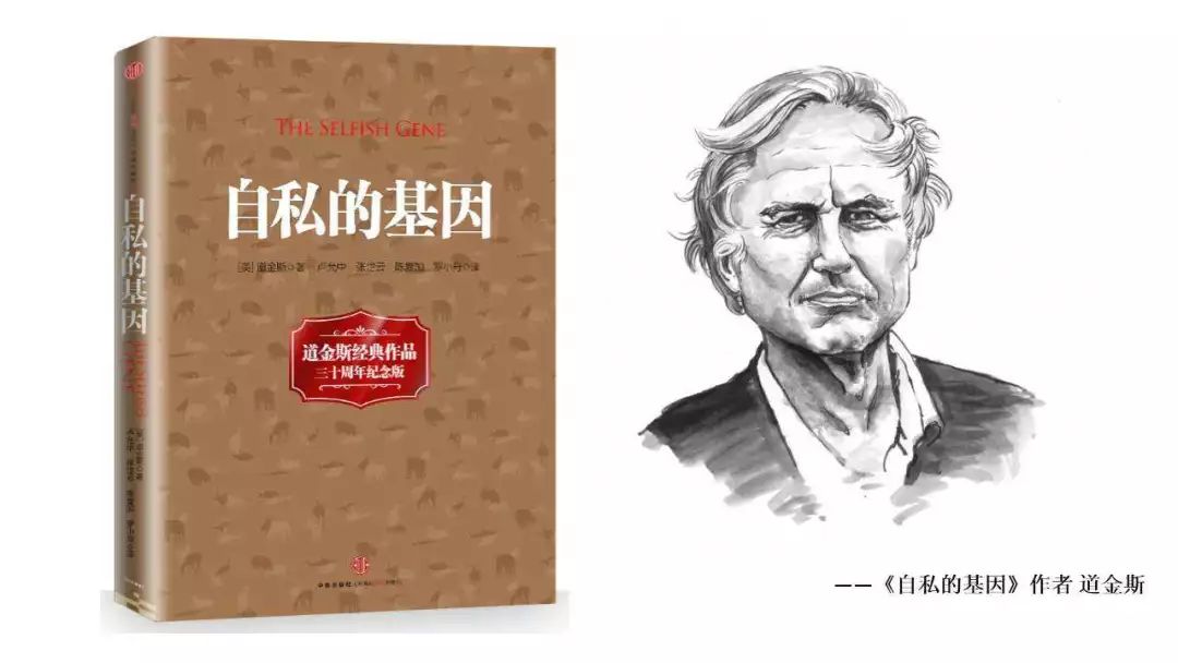 人的本能是最基本的自然本能,真正厉害的人其实都赢在了思维上