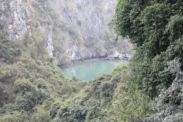 这里虽然风景如画人们生活的却很凄惨没日没夜的追着大船讨生活