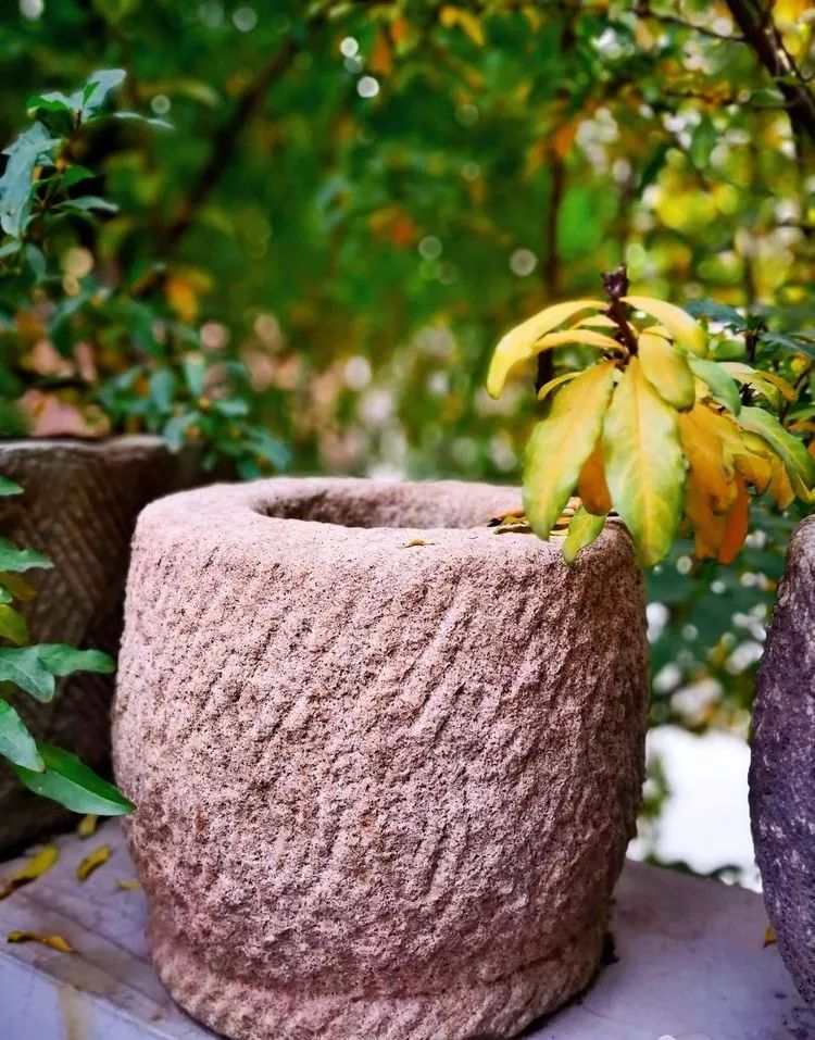 漫随天外云卷云舒免费,漫随天外云卷云舒抖音