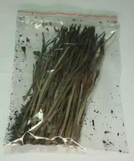 国家禁毒办权威发布毒品基础知识,国家基本药品宣传知识