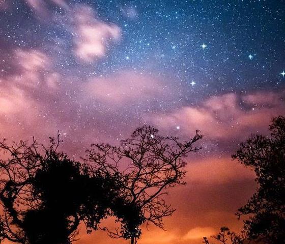 浮躁不安的心安静下来,如何让浮躁不安的心安静下来