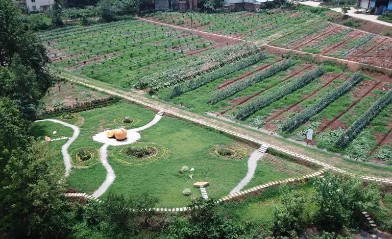 成都东部新区智慧田园,成都生态田园