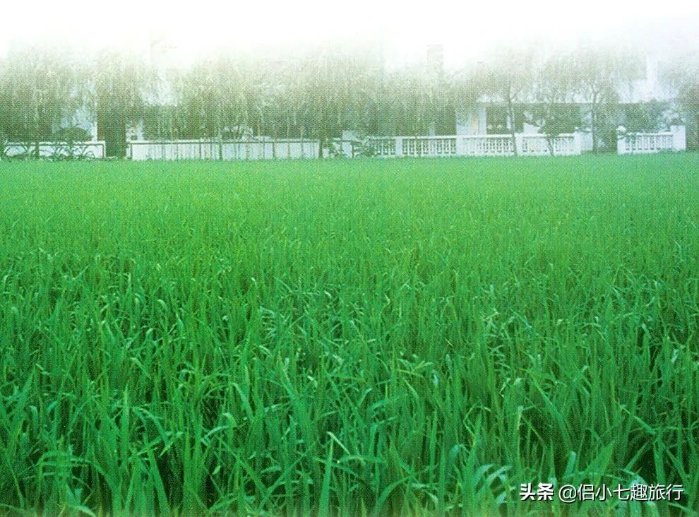 生态农业与生态农业发展的区别,生态农业发展与生态农业科技