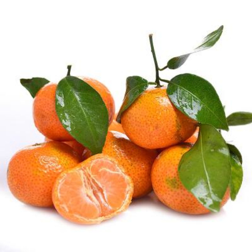 四会砂糖橘汽水,四会砂糖橘汽水批发