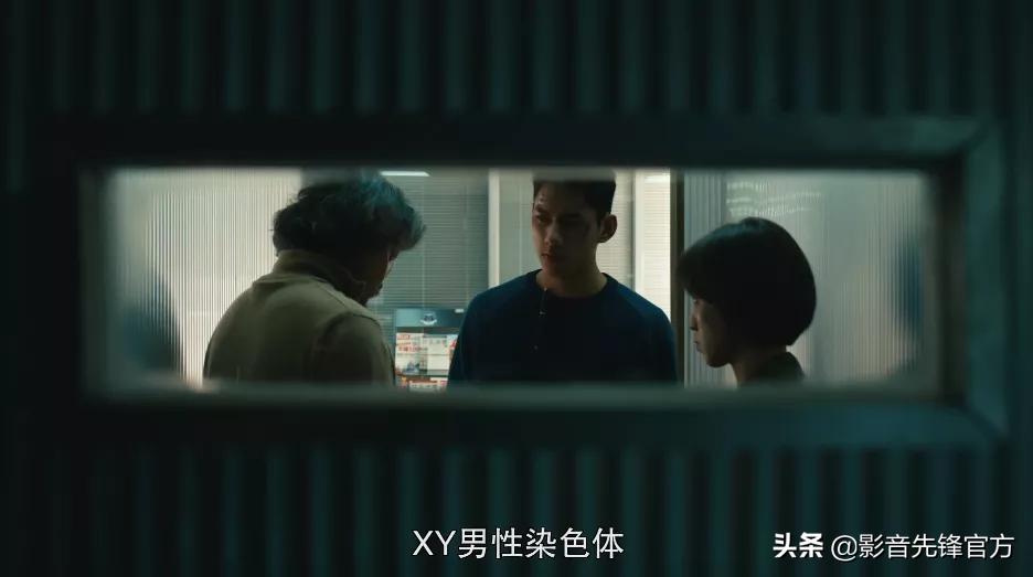 踩着过审底线拍出的爽剧，这尺度要分级才能播吧