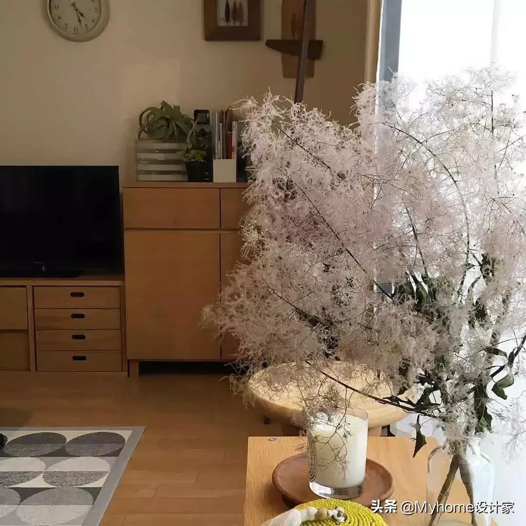 日本女生出租房单间布置,日本女孩出租房子