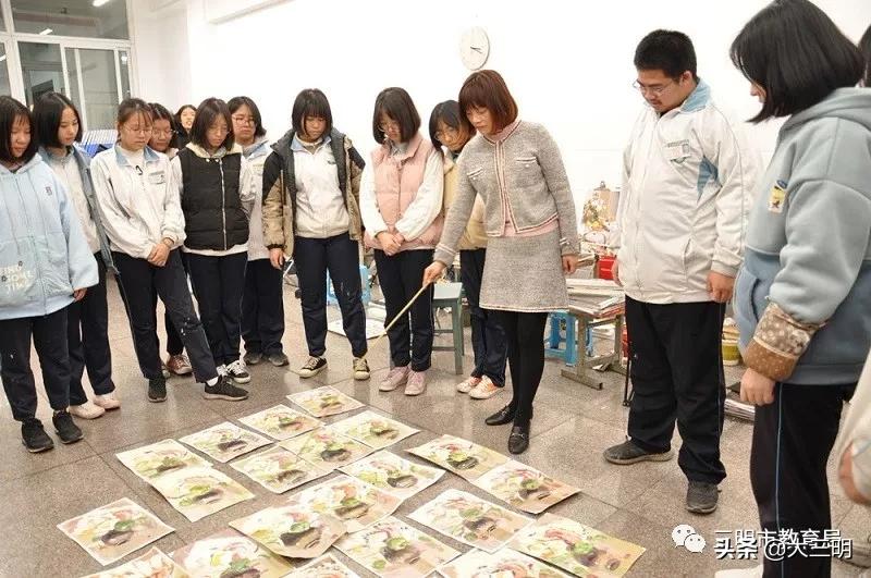 五育并举全面提升教育质量,五育教育理念又有新内涵