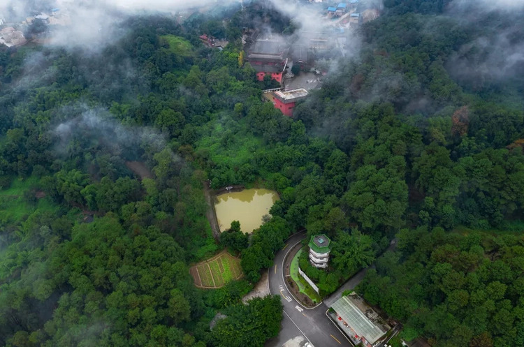 重庆春日踏青哪里好玩,重庆游玩攻略春天赏花