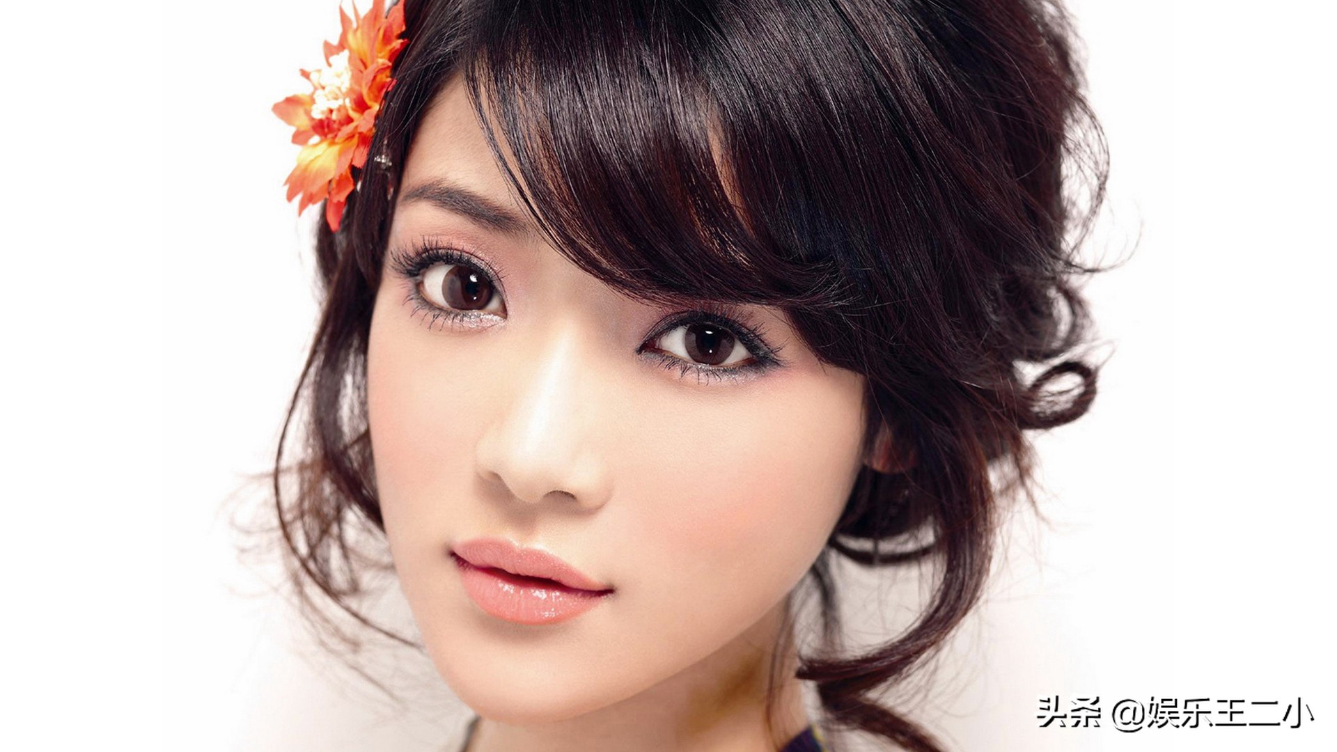 爱情公寓吕子乔十句经典语录,爱情公寓吕子乔经典语录全部