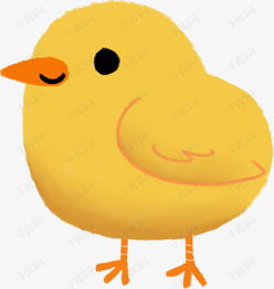 当你吃鸡肉时不知道的奇怪知识,吃鸡的冷知识你知道吗