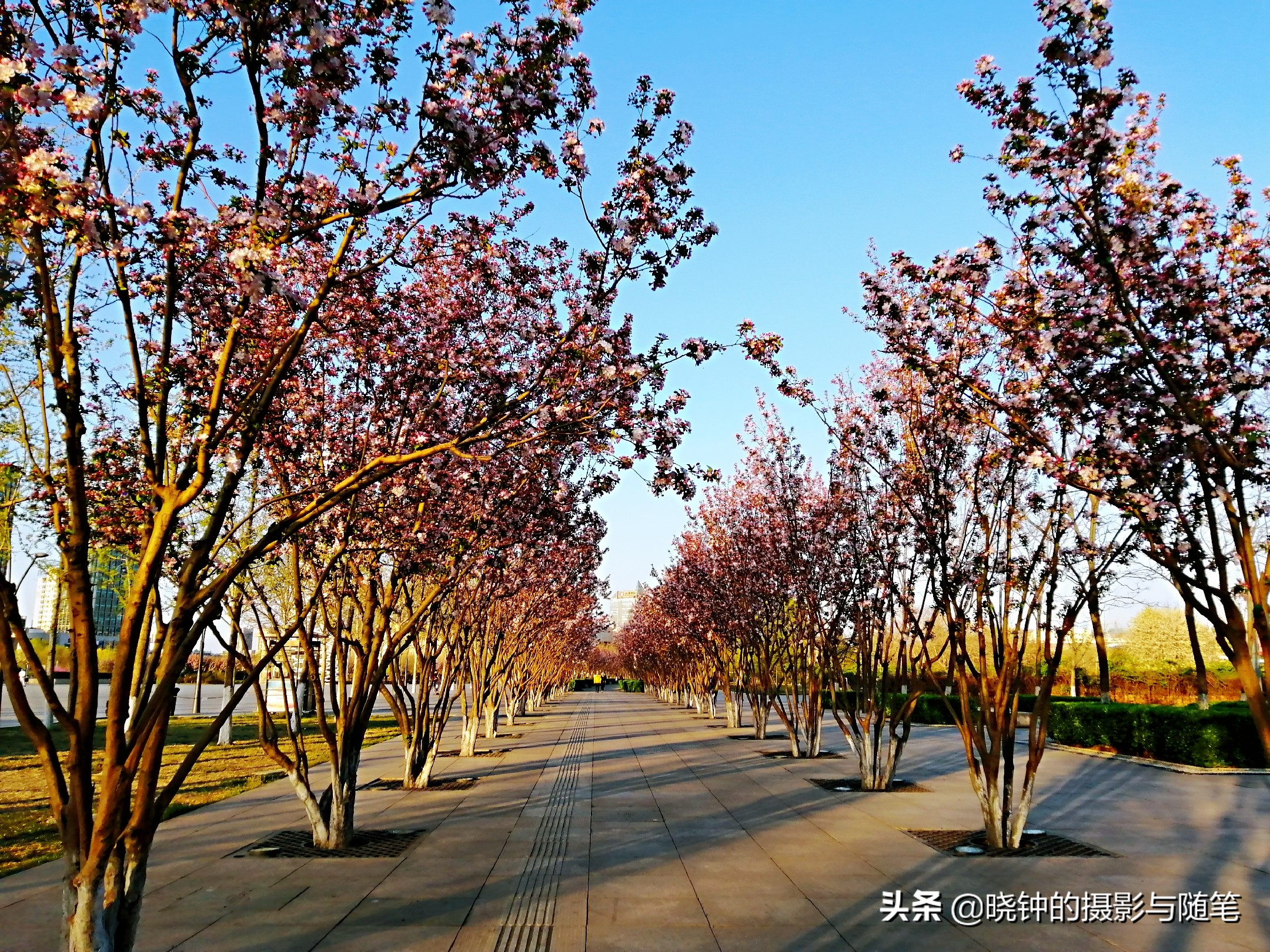 天津市亲子游推荐,天津市南开区亲子游十佳去处