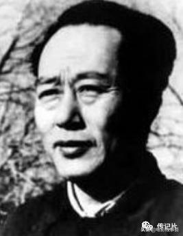 赵一曼人物传记,人物传记赵一曼