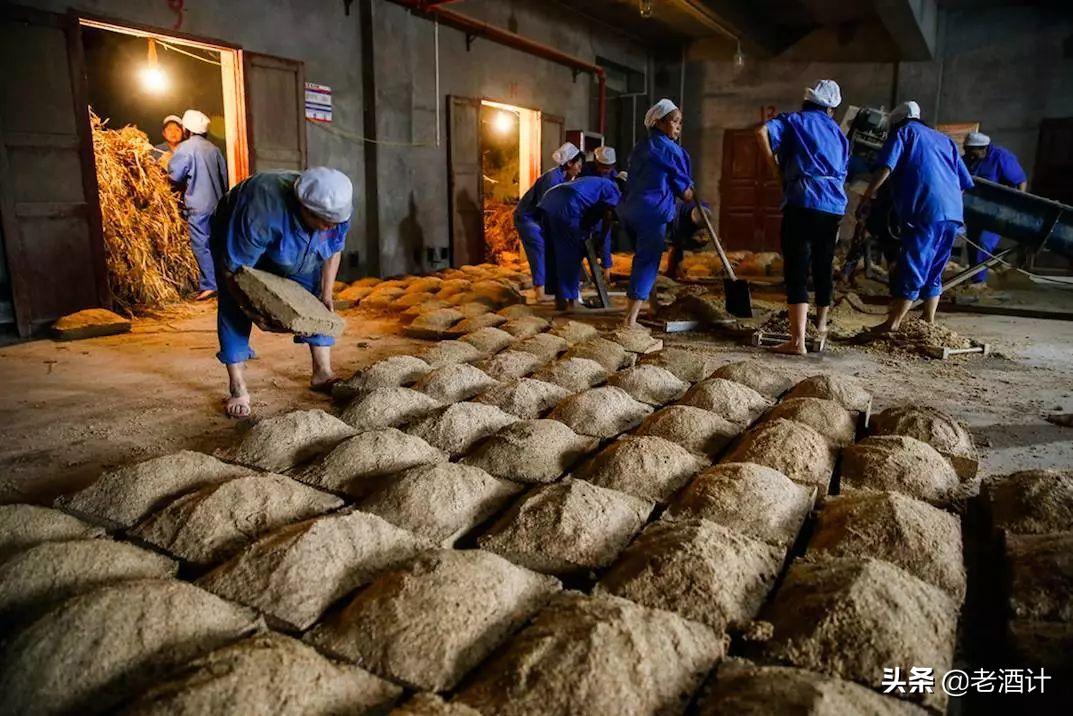 酿酒不为人知的秘方,酿酒师证真假鉴别