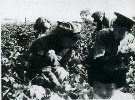 身经百战的开国中将郭鹏,因负伤受“酷刑”被贺龙称为硬汉