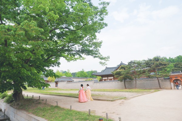 一个念头完整版,一个念头吉他