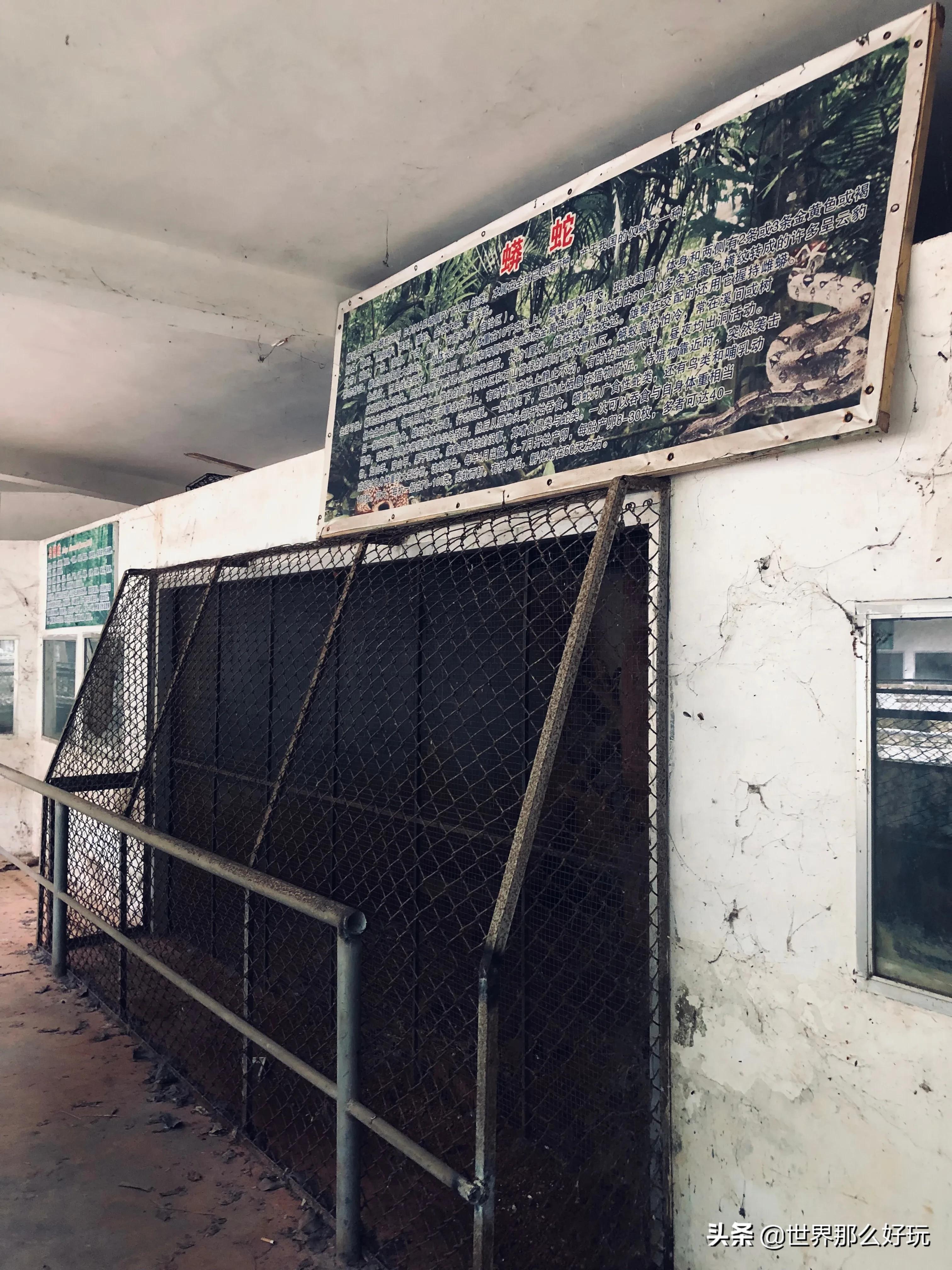 海南金牛岭动物园视频,海口金牛岭公园现在还有动物园吗