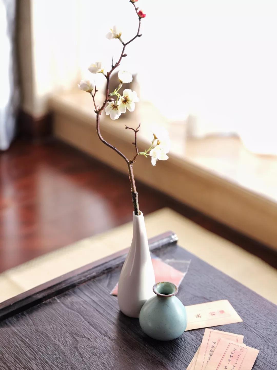 北京有没有撸猫的地方,福州撸兔兔的店