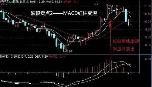 短线高手炒股养家,短线高手收益