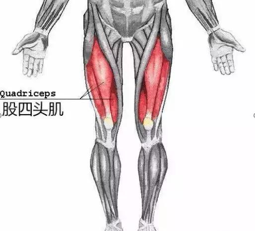 膝盖长了骨刺腿弯处疼怎么办,膝盖关节炎天冷了疼怎么办