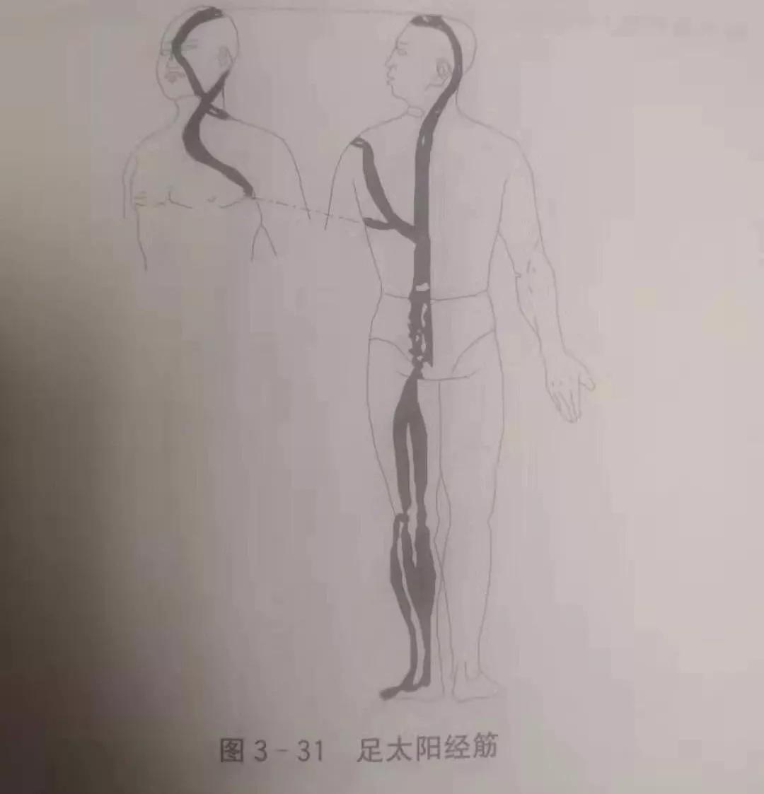 经筋手法，我院名誉院长国医大师韦贵康《韦氏骨伤手法集成》