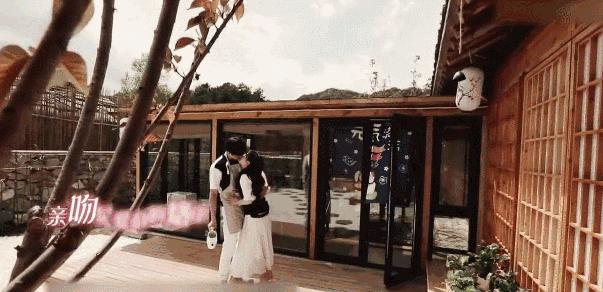 福原爱闪离原因,福原爱婚姻失败的原因