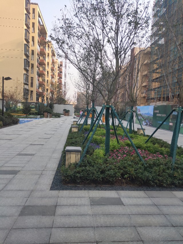 象山学区房,象山学区房多少钱一平