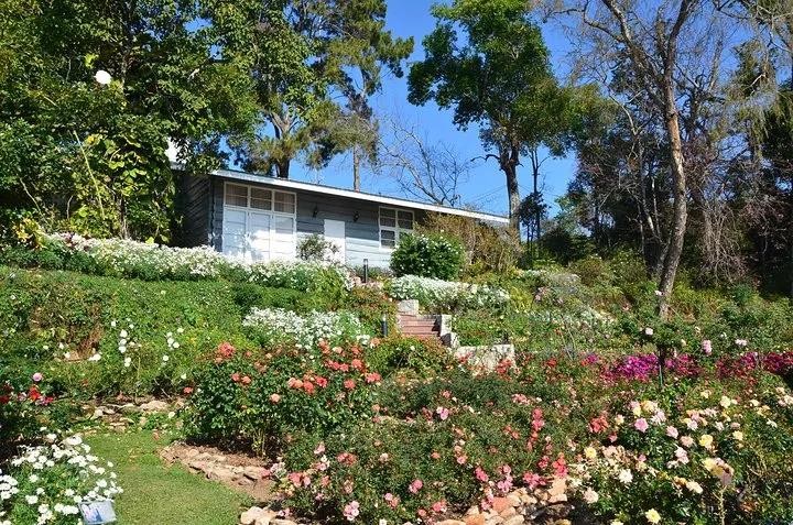 主宾国｜“泰”美了！欢迎来到多姿泰国