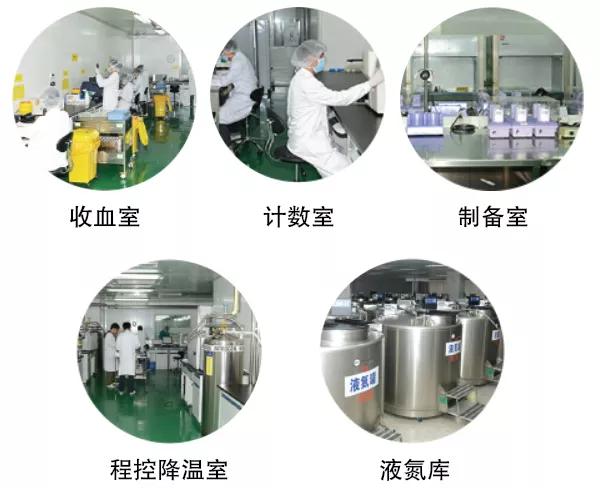 可以“救命”的脐带血，到底存还是不存？