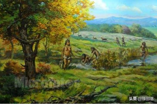 神奇昆虫，蜜蜂造出最省材料”房子“，它比祖冲之更早算出圆周率