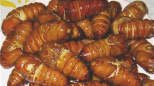 丹东旅游攻略2-3天,丹东旅游攻略美食推荐