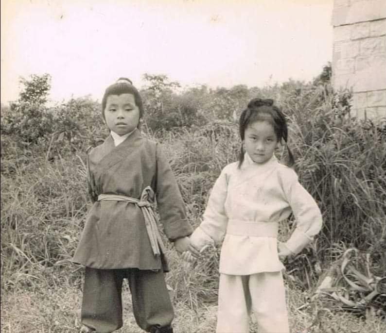 王杰被毒嗓子是真是假,王杰被毒哑之谜