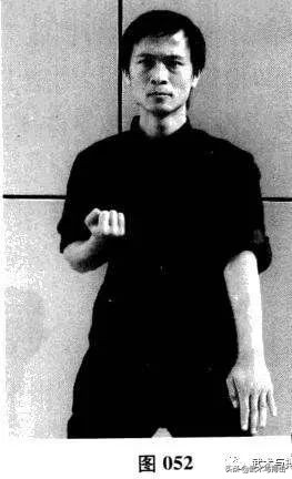 咏春八手招式完整版,咏春八手林正英完整版