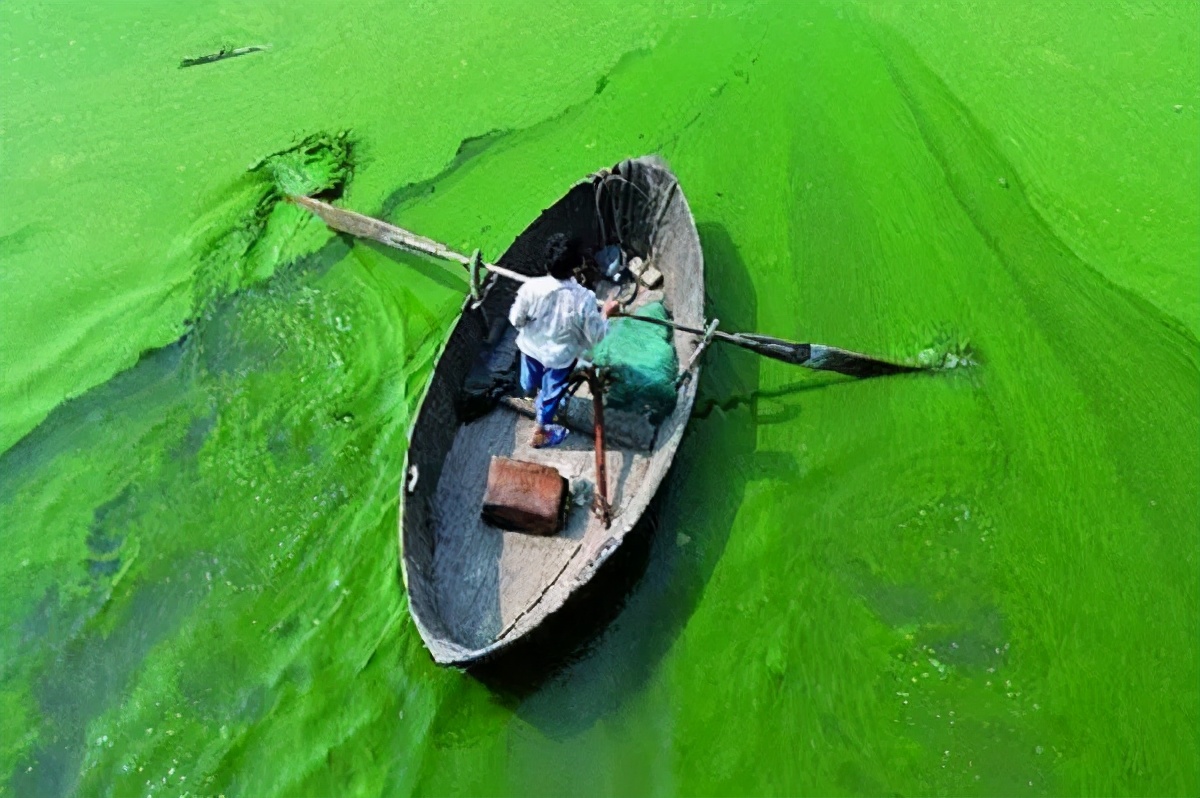 农业概况,中国农业基本现状