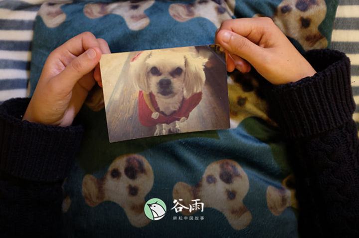 女子花25万元成功克隆宠物狗,女子花38万克隆去世的狗