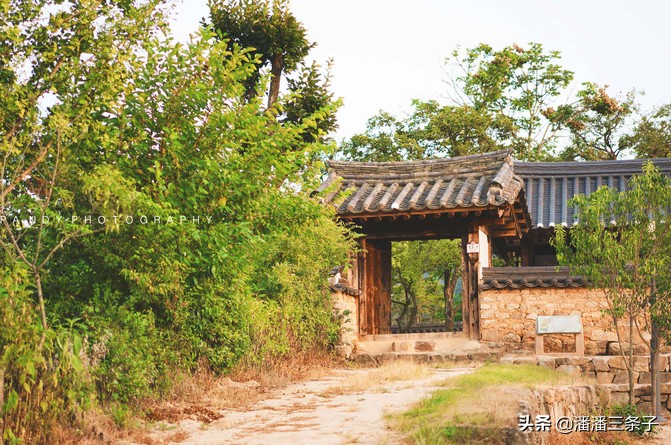 韩国有什么值得买的吃的,除了买买买还有什么活动