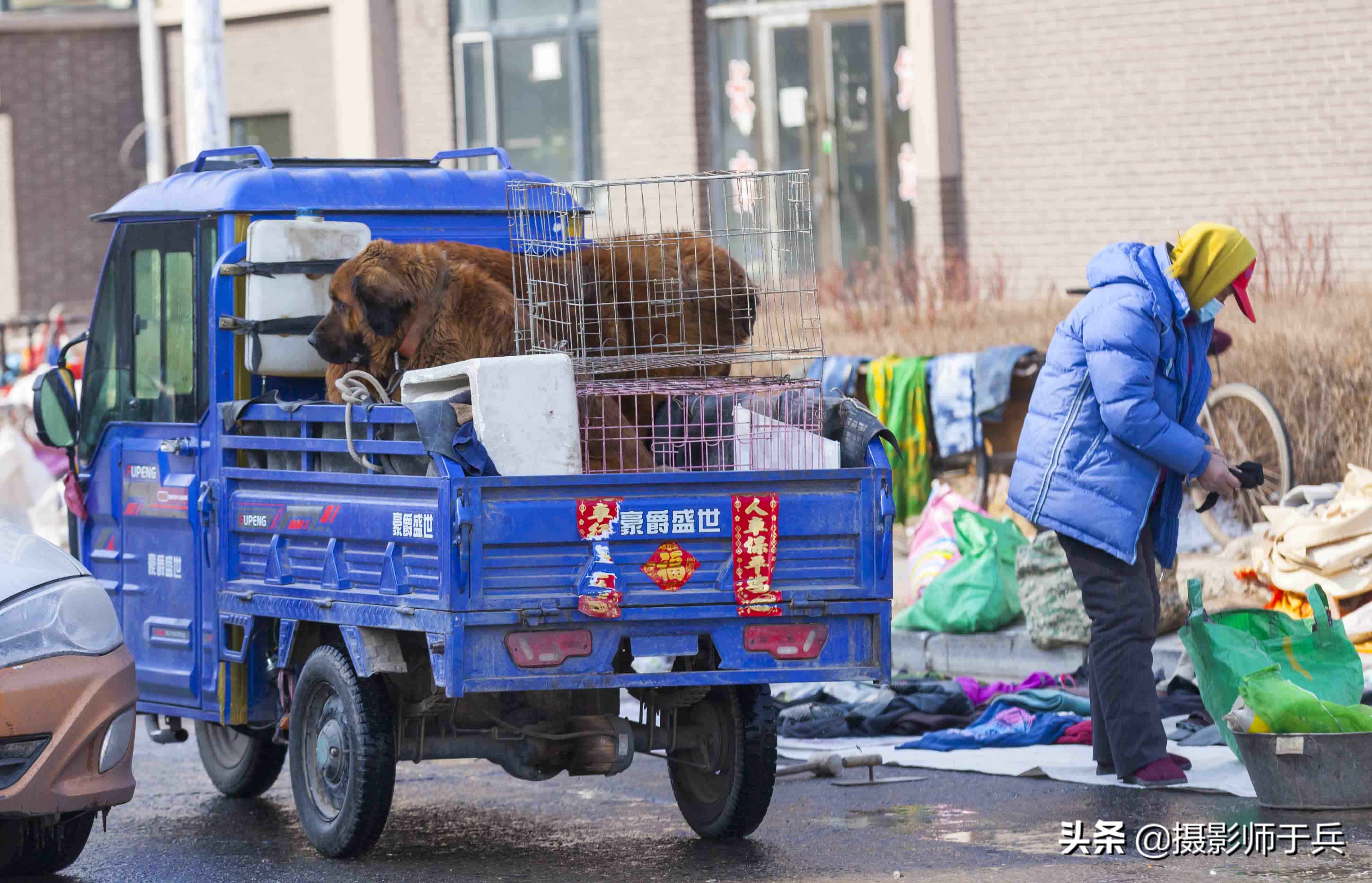 绥化安达狗市,黑龙江省绥化故事之一