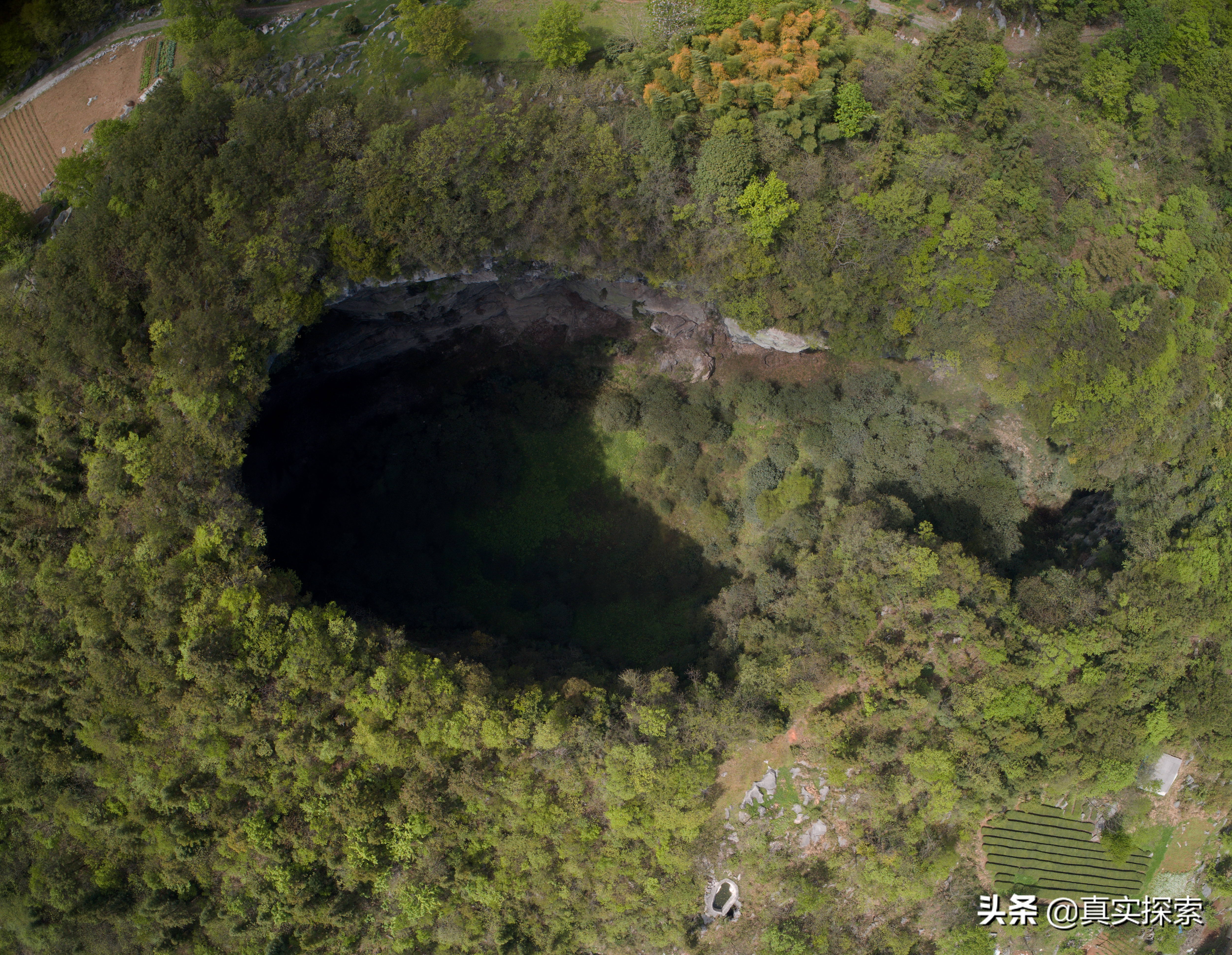 湖北天坑新发现神农架,湖北大山的神秘天坑