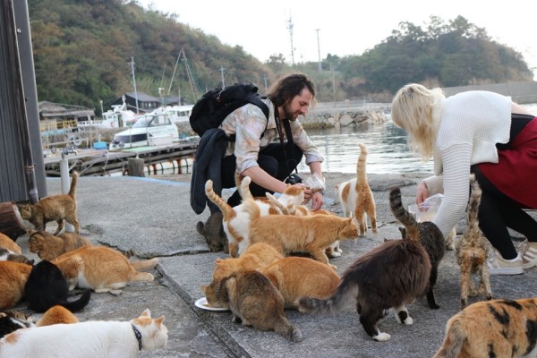 日本猫岛居民帮浪猫准备「御寒小屋」网：超暖心