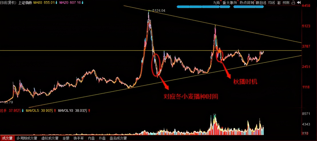 初识股票教学,手把手教学股票